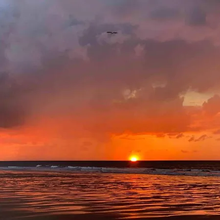 Apartment In Near North Sea